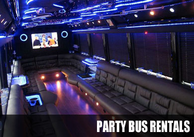 birthday party bus rentals