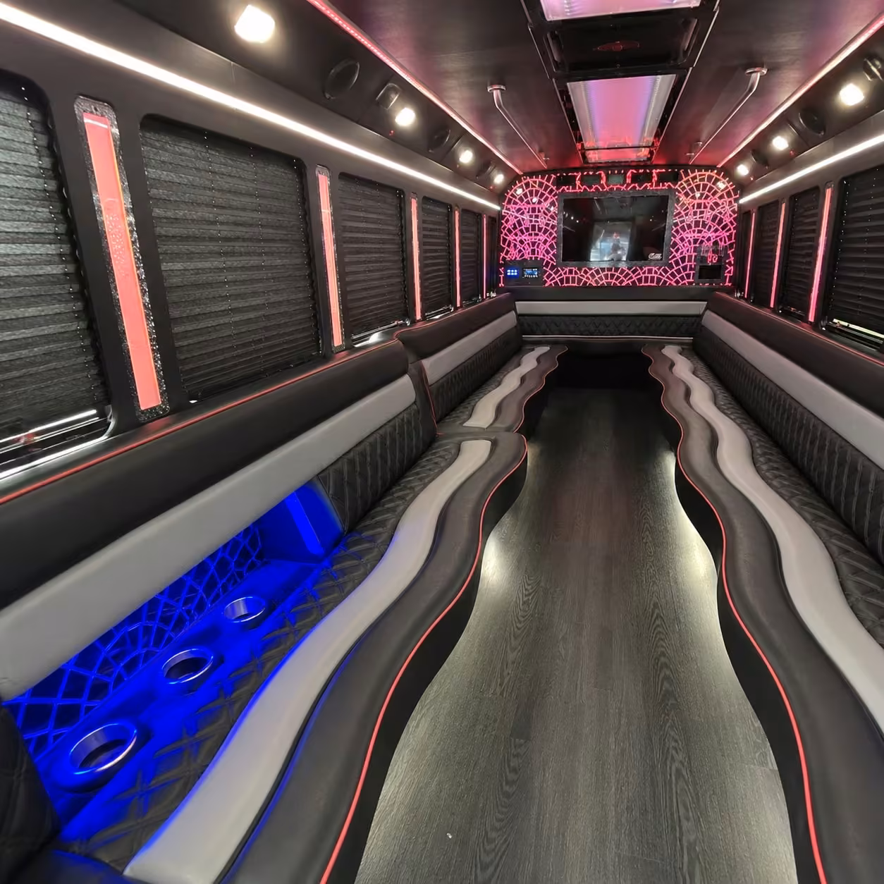 20 passenger party bus interior