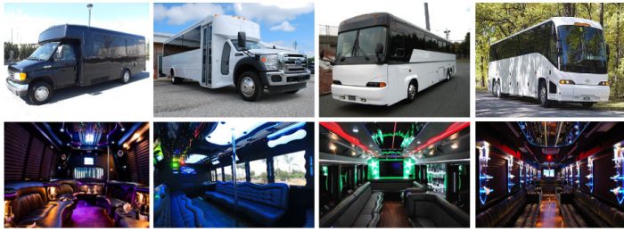 bachelor party buses