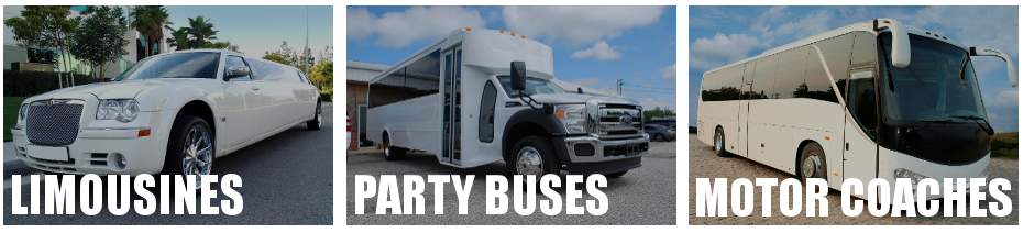 st petersburg limo party bus rental