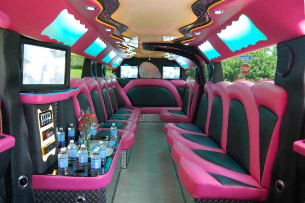 pink hummer limousine Plant City